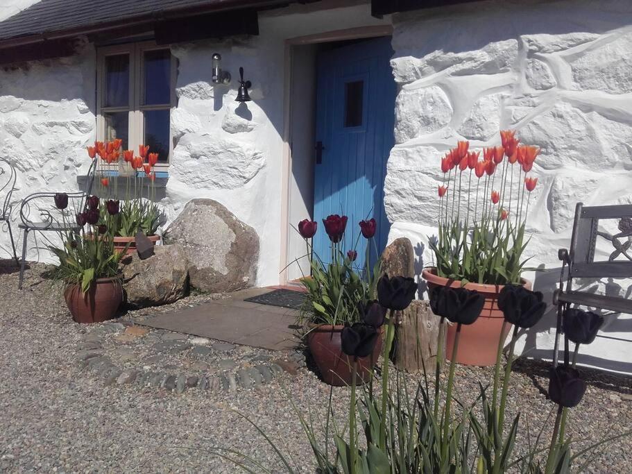 Traditional Stone Cottage With Sea Views In Snowdonia National Park Brynkir Exterior foto