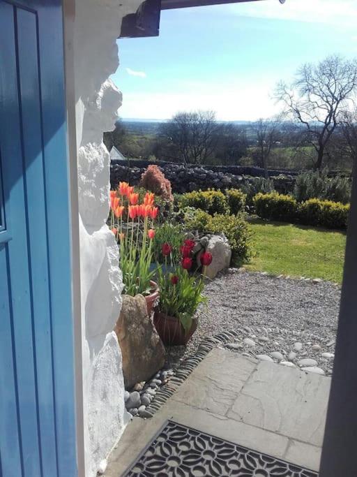 Traditional Stone Cottage With Sea Views In Snowdonia National Park Brynkir Exterior foto